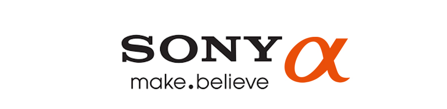 Sony camera repair / Sony camcorder repair 